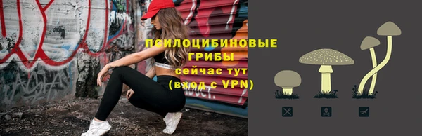 гашик Белокуриха